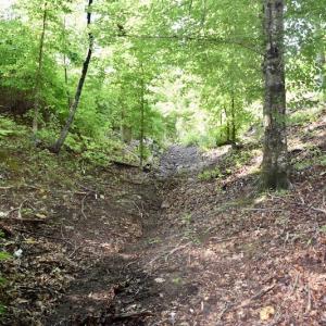 Photo of UNDER CONTRACT!  10 Acres of Hunting Land For Sale in Henry County VA!