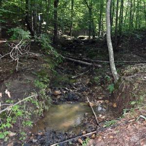 Photo of UNDER CONTRACT!  10 Acres of Hunting Land For Sale in Henry County VA!