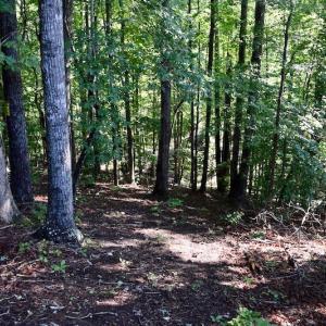 Photo of UNDER CONTRACT!  10 Acres of Hunting Land For Sale in Henry County VA!