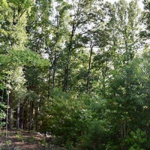 Photo of UNDER CONTRACT!  10 Acres of Hunting Land For Sale in Henry County VA!