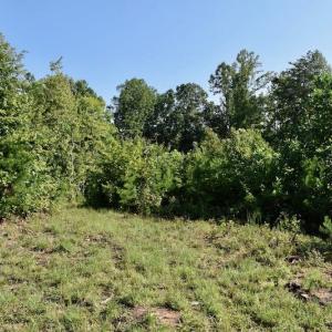 Photo of UNDER CONTRACT!  10 Acres of Hunting Land For Sale in Henry County VA!