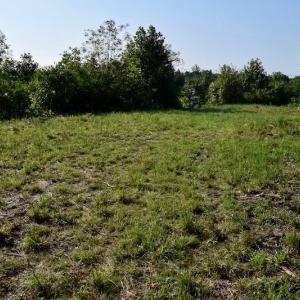 Photo of UNDER CONTRACT!  10 Acres of Hunting Land For Sale in Henry County VA!