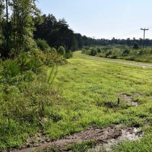 Photo of UNDER CONTRACT!  10 Acres of Hunting Land For Sale in Henry County VA!