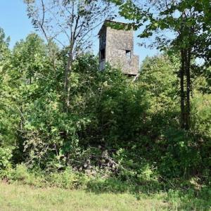 Photo of UNDER CONTRACT!  10 Acres of Hunting Land For Sale in Henry County VA!