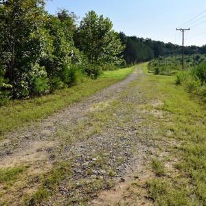 Photo of UNDER CONTRACT!  10 Acres of Hunting Land For Sale in Henry County VA!