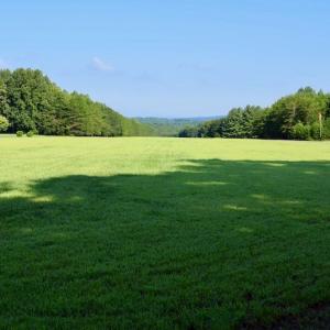 Photo of UNDER CONTRACT!  10 Acres of Hunting Land For Sale in Henry County VA!