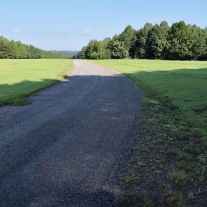 Photo of UNDER CONTRACT!  10 Acres of Hunting Land For Sale in Henry County VA!