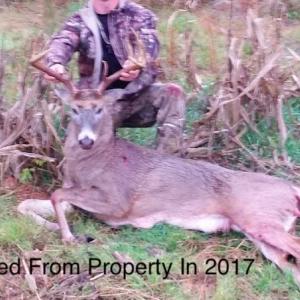 Photo of UNDER CONTRACT!  10 Acres of Hunting Land For Sale in Henry County VA!