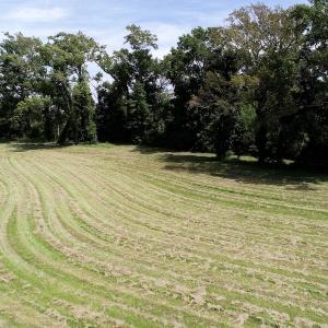 Photo of SOLD!  3 Acre Waterfront Building Lot For Sale in Perquimans County NC!