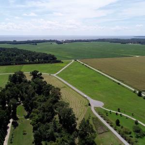 Photo of SOLD!  3 Acre Waterfront Building Lot For Sale in Perquimans County NC!