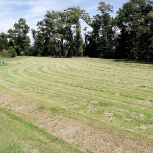Photo of SOLD!  3 Acre Waterfront Building Lot For Sale in Perquimans County NC!