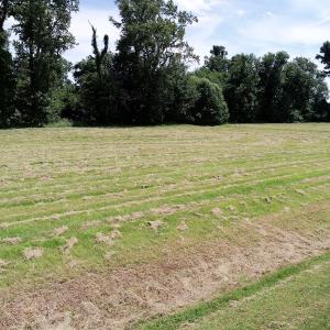 Photo of SOLD!  3 Acre Waterfront Building Lot For Sale in Perquimans County NC!