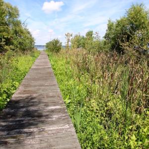 Photo of SOLD!  3 Acre Waterfront Building Lot For Sale in Perquimans County NC!