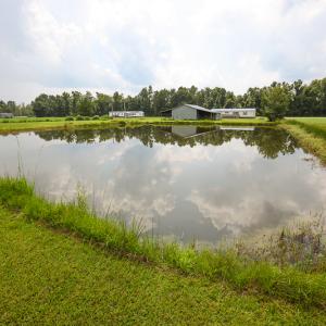 Photo of SOLD!  7 Acres of Residential and Farm Land For Sale in Tyrrell County NC!
