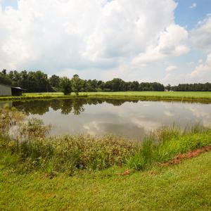 Photo of SOLD!  7 Acres of Residential and Farm Land For Sale in Tyrrell County NC!
