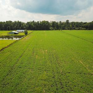 Photo of SOLD!  7 Acres of Residential and Farm Land For Sale in Tyrrell County NC!