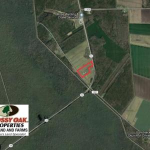 Photo of SOLD!  7 Acres of Residential and Farm Land For Sale in Tyrrell County NC!