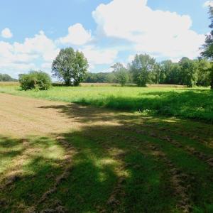 Photo of UNDER CONTRACT!  3 Acres of Land With Home For Sale in Wilson County!