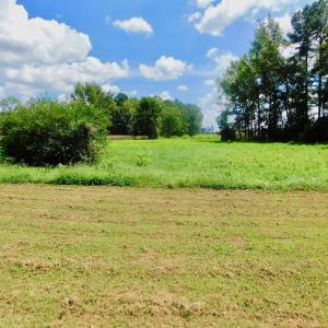Photo of UNDER CONTRACT!  3 Acres of Land With Home For Sale in Wilson County!
