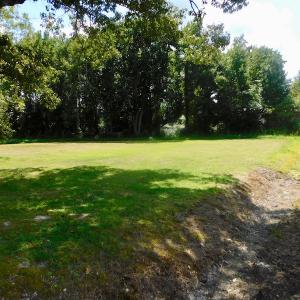 Photo of UNDER CONTRACT!  3 Acres of Land With Home For Sale in Wilson County!