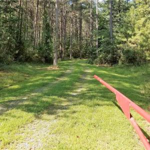 Photo of SOLD!!  24 Acres of Waterfront Lot off Farnham Creek in Richmond County VA!