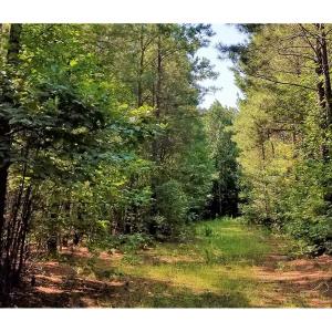 Photo of SOLD!!  24 Acres of Waterfront Lot off Farnham Creek in Richmond County VA!