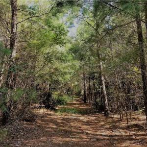 Photo of SOLD!!  24 Acres of Waterfront Lot off Farnham Creek in Richmond County VA!