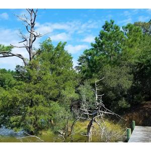 Photo of SOLD!!  24 Acres of Waterfront Lot off Farnham Creek in Richmond County VA!
