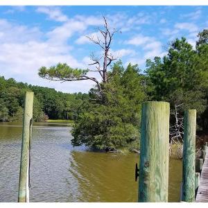 Photo of SOLD!!  24 Acres of Waterfront Lot off Farnham Creek in Richmond County VA!