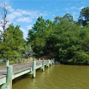 Photo of SOLD!!  24 Acres of Waterfront Lot off Farnham Creek in Richmond County VA!
