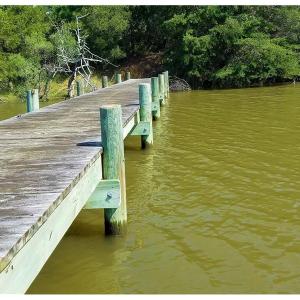 Photo of SOLD!!  24 Acres of Waterfront Lot off Farnham Creek in Richmond County VA!