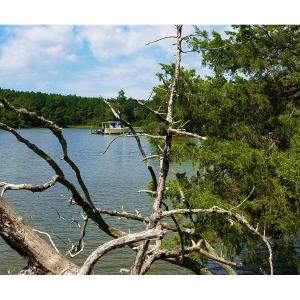 Photo of SOLD!!  24 Acres of Waterfront Lot off Farnham Creek in Richmond County VA!