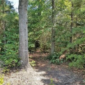 Photo of SOLD!!  24 Acres of Waterfront Lot off Farnham Creek in Richmond County VA!