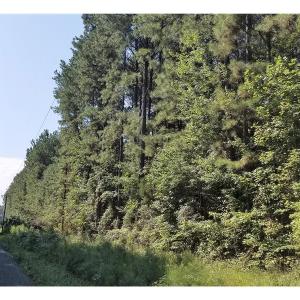Photo of SOLD!!  24 Acres of Waterfront Lot off Farnham Creek in Richmond County VA!