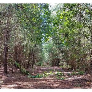 Photo of SOLD!!  24 Acres of Waterfront Lot off Farnham Creek in Richmond County VA!
