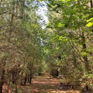 Photo of SOLD!!  24 Acres of Waterfront Lot off Farnham Creek in Richmond County VA!