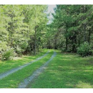 Photo of SOLD!!  24 Acres of Waterfront Lot off Farnham Creek in Richmond County VA!