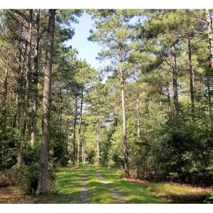 Photo of SOLD!!  24 Acres of Waterfront Lot off Farnham Creek in Richmond County VA!