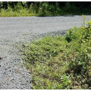 Photo of SOLD!!  24 Acres of Waterfront Lot off Farnham Creek in Richmond County VA!
