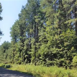 Photo of SOLD!!  24 Acres of Waterfront Lot off Farnham Creek in Richmond County VA!