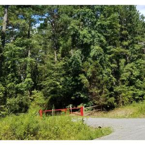 Photo of SOLD!!  24 Acres of Waterfront Lot off Farnham Creek in Richmond County VA!