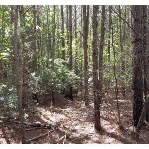 Photo of SOLD!!  24 Acres of Waterfront Lot off Farnham Creek in Richmond County VA!