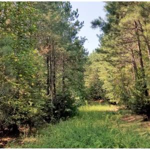 Photo of SOLD!!  24 Acres of Waterfront Lot off Farnham Creek in Richmond County VA!