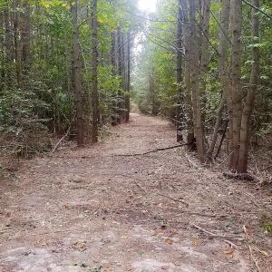 Photo of SOLD!!  24 Acres of Waterfront Lot off Farnham Creek in Richmond County VA!