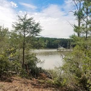 Photo of SOLD!!  24 Acres of Waterfront Lot off Farnham Creek in Richmond County VA!