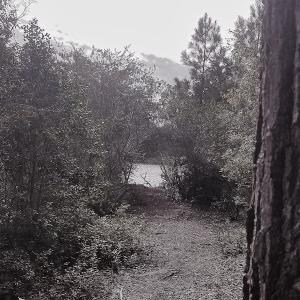 Photo of SOLD!!  24 Acres of Waterfront Lot off Farnham Creek in Richmond County VA!