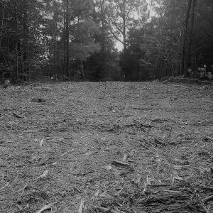Photo of SOLD!!  24 Acres of Waterfront Lot off Farnham Creek in Richmond County VA!