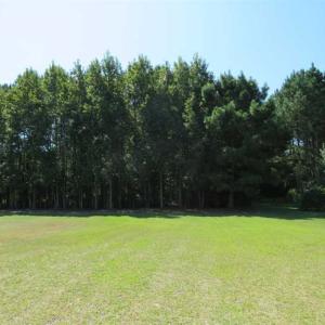 Photo of SOLD!  43 Acres of Hunting and Timber Land For Sale in Columbus County NC!
