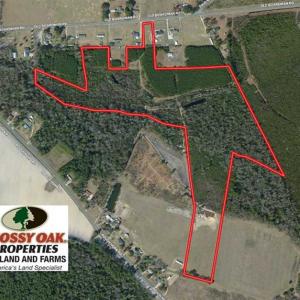 Photo of SOLD!  43 Acres of Hunting and Timber Land For Sale in Columbus County NC!