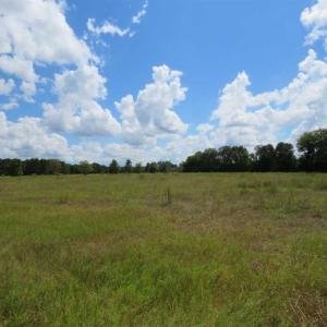 Photo of SOLD!  43 Acres of Hunting and Timber Land For Sale in Columbus County NC!
